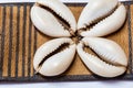 Close up of Cowrie shells belt from Nigeria