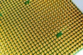 Close-up of CPU microchip gold pins, semiconductor technology background. Royalty Free Stock Photo