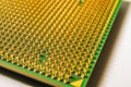 Close-up of CPU microchip gold pins, semiconductor technology background. Royalty Free Stock Photo
