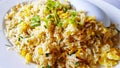 Close up crab meat fried rice with egg and sliced coriander topping on white dish or plate. Royalty Free Stock Photo