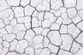 Close up crack ground texture , drought season background Royalty Free Stock Photo