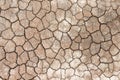 Crack ground texture , seamless patterns drought season brown background Royalty Free Stock Photo