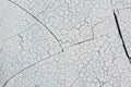 Close up of crack soil and muddy in the dry season textures, hot summer. Royalty Free Stock Photo