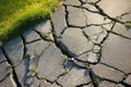 close-up of cracked asphalt with green grass breaking through