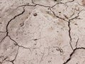 Close Up of Cracked and Broken Semi Wet Ground or Land at the Field During A Hot Summer Day