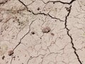 Close Up of Cracked and Broken Semi Wet Ground or Land at the Field During A Hot Summer Day