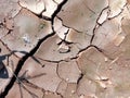 Close Up of Cracked and Broken Semi Wet Ground or Land at the Field During A Hot Summer Day