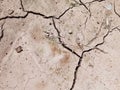 Close Up of Cracked and Broken Semi Wet Ground or Land at the Field During A Hot Summer Day