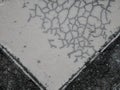 Close up of cracked ceramic, texture of black-and-white raku clay pottery, wallpaper background. Royalty Free Stock Photo