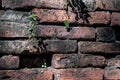 Cracked concrete vintage brick wall background Royalty Free Stock Photo