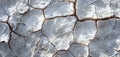 Close Up of Cracked desert Surface. Generative AI