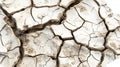 Close-up of cracked dry earth showing deep fissures and parched soil