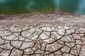 Close up cracked earth near drying water and dry tree on twilight at at Sam Pan Bok in Mekong river. Ubonratchathani Province , Th Royalty Free Stock Photo