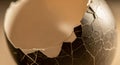 Close-up of a cracked eggshell with a dark outer surface and contrasting lighter interior. The Royalty Free Stock Photo