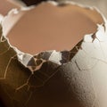 Close-up of a cracked eggshell, revealing its rough texture and fragmented edges. The shell Royalty Free Stock Photo
