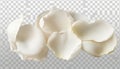 Close up of Cracked Off White Eggshells on Transparent Background Royalty Free Stock Photo