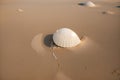 Close-up of a cracked seashell in the sand Royalty Free Stock Photo