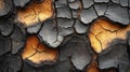 Cracked Tree Bark with Golden and Black Earthy Contrast Close-Up Royalty Free Stock Photo