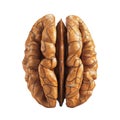 A Close-Up of a Cracked Walnut Shell Royalty Free Stock Photo