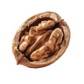 Close-up of a Cracked Walnut Shell with Kernel Inside Royalty Free Stock Photo
