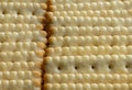 close up of crackers in a row wallpaper