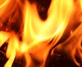 Close up on a crackling warm camp fire burning with red and orange flames Royalty Free Stock Photo