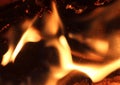 Close up on a crackling warm camp fire burning with red and orange flames Royalty Free Stock Photo