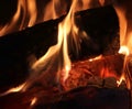 Close up on a crackling warm camp fire burning with red and orange flames Royalty Free Stock Photo