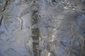 Close Up Crackly Thin Ice Over a Puddle