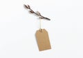 Close-up of craft paper gift tag with rope and brown branch with buds isolated on white canvas background. Spring