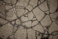 Close-up of Craquelure in concrete Royalty Free Stock Photo