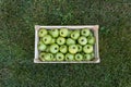 Close up of a crate with fresh apples on grass: Granny Smith Royalty Free Stock Photo