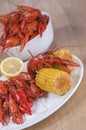 The close-up of the crawfish and corn on the cob on the white pl Royalty Free Stock Photo