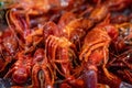 Close up of Crawfish or crawdads Royalty Free Stock Photo