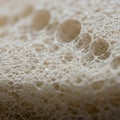 Close-up of a cream-colored sponge texture, showcasing a network of thin, Royalty Free Stock Photo