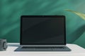 Close up of creative designer office desktop with empty laptop monitor with mock up place in frame, green wall background with