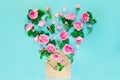 Close up creative layout with pink tea rose flowers,petals, leaves fly out of craft paper envelope in shape of heart on turquoise Royalty Free Stock Photo