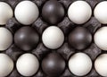 Close-up creative pattern of colored black and white eggs in a black cardboard box. Easter composition. Flat lay Royalty Free Stock Photo