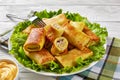 Close-up of crepe rolls with ground chicken meat Royalty Free Stock Photo