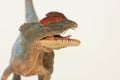 A Close Up of a Crested Dilophosaurus Dinosaur Royalty Free Stock Photo