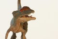 A Close Up of a Crested Dilophosaurus Dinosaur Royalty Free Stock Photo