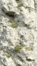 Close-up of Creviced Limestone Texture with Greenery Patches on Eroded Mountain Surface Background Royalty Free Stock Photo