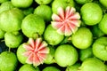 Close up crganic guava fruit nature thailand