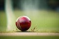 A close-up of a cricket ball being bowled, with the red seam and grassy pitch in sharp focus. Royalty Free Stock Photo