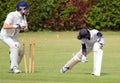 Close up of cricket player bowled out.