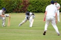Close up of cricket player bowled out.