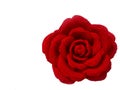 Close up Crochet Rose handmade