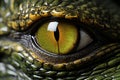 Close up of crocodile animals eyes