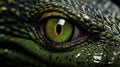 Close up of crocodile animals eyes