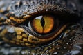 Close up of crocodile animals eyes
